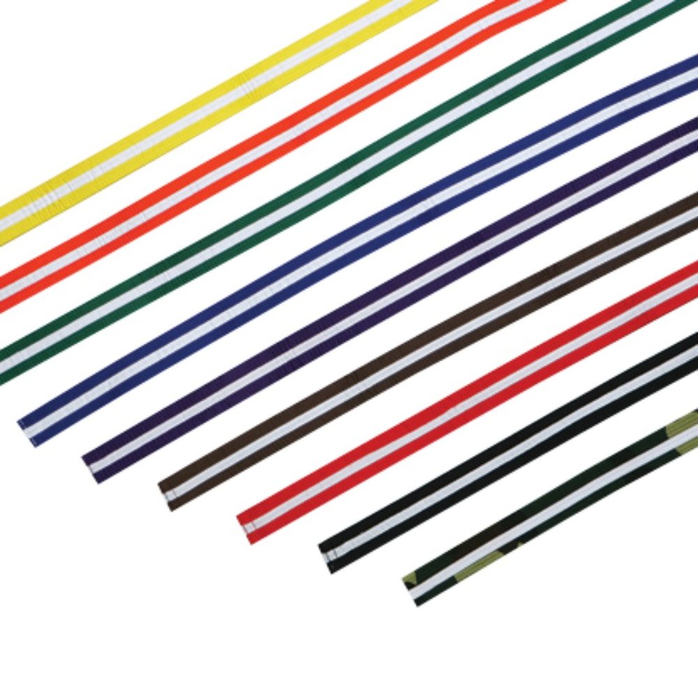 Belt with stripe